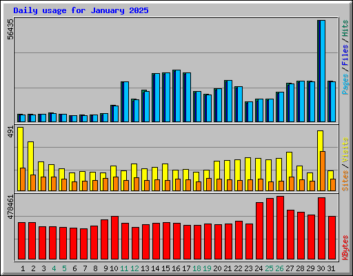 Daily usage for January 2025