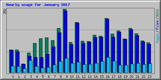Hourly usage for January 2017