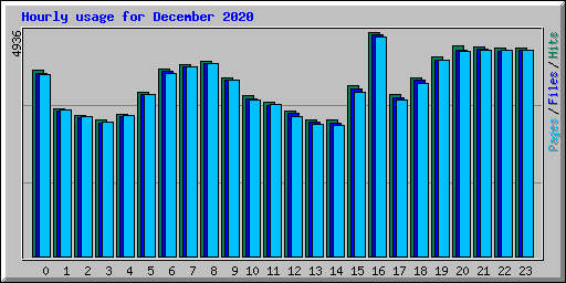 Hourly usage for December 2020