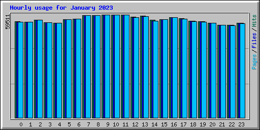 Hourly usage for January 2023