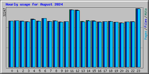 Hourly usage for August 2024