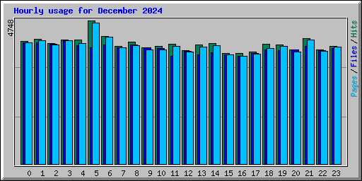 Hourly usage for December 2024