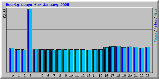 Hourly usage for January 2025