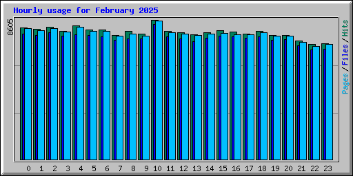 Hourly usage for February 2025