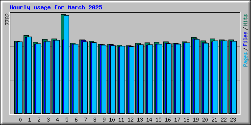 Hourly usage for March 2025