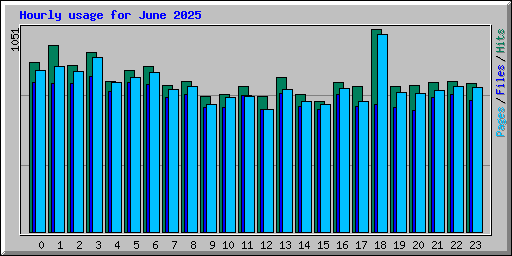 Hourly usage for June 2025