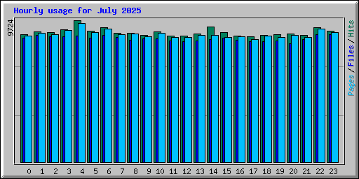 Hourly usage for July 2025