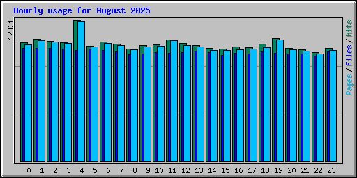 Hourly usage for August 2025
